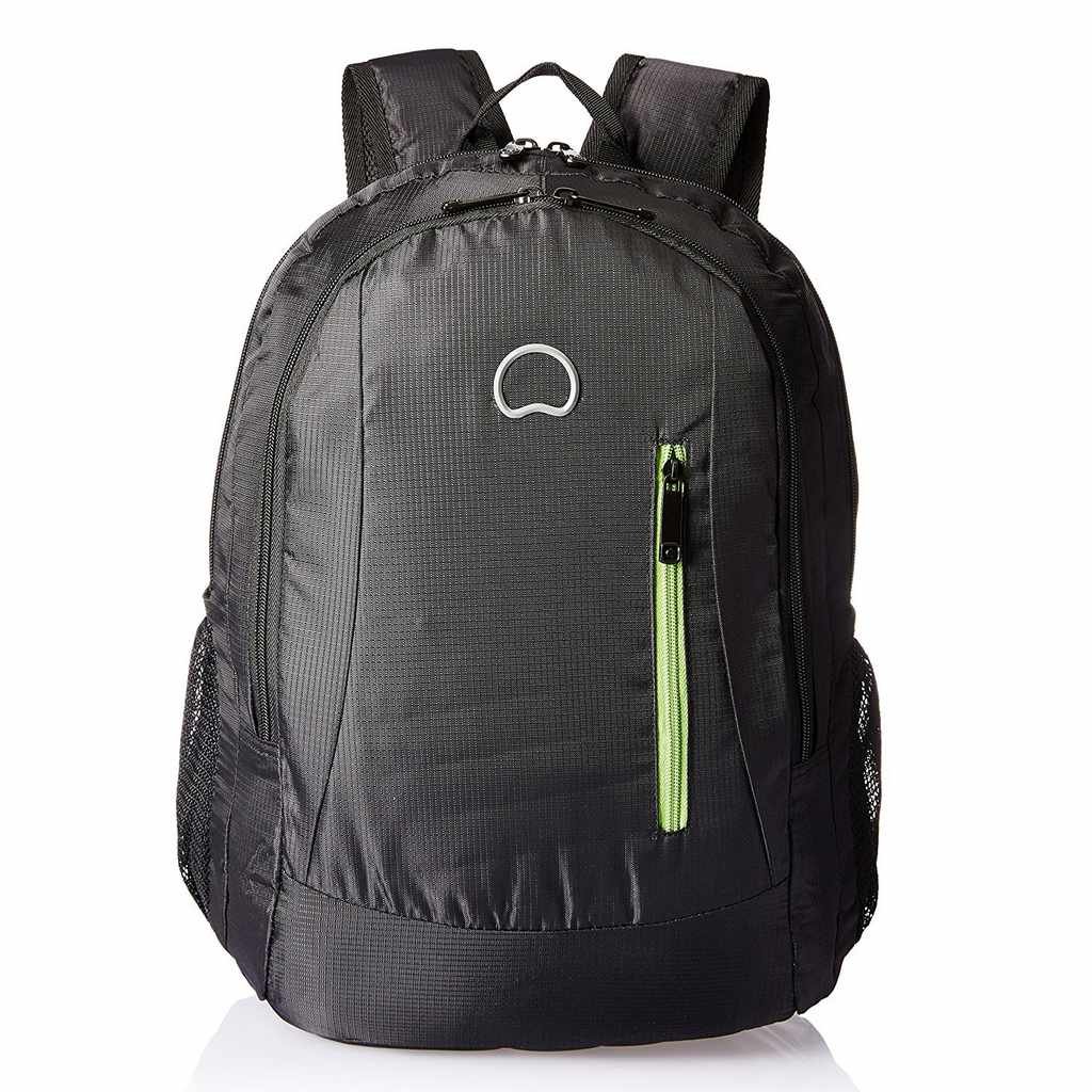 Buy Delsey Backpack 15.6