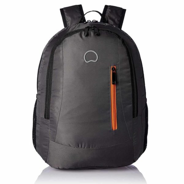 Delsey Laptop Backpack Legere 2.0 Backpack 15.6 Inch Pink | The Little  Green Bag