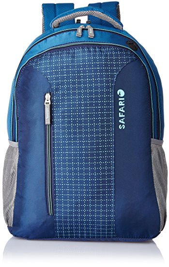 Matty Blue Printed Safari College Bag at Rs 210/piece in New Delhi | ID:  21787485562